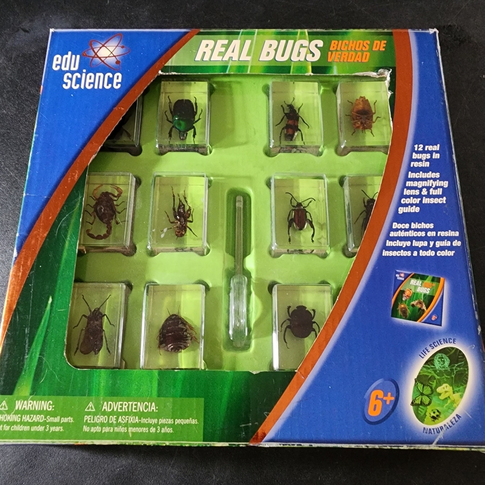 2008 Edu Science REAL BUGS in Resin Insect Toys r Us